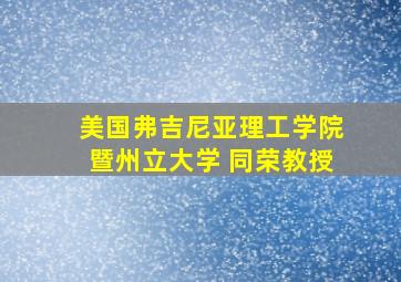 美国弗吉尼亚理工学院暨州立大学 同荣教授